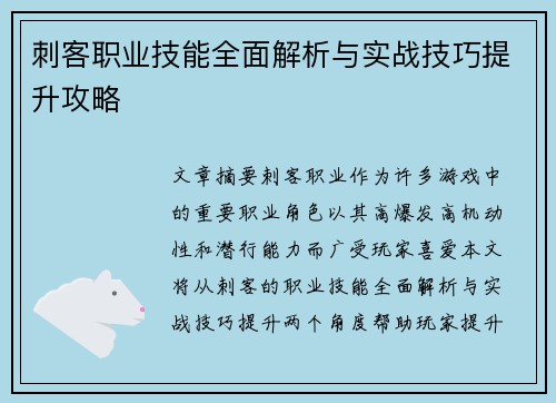 刺客职业技能全面解析与实战技巧提升攻略
